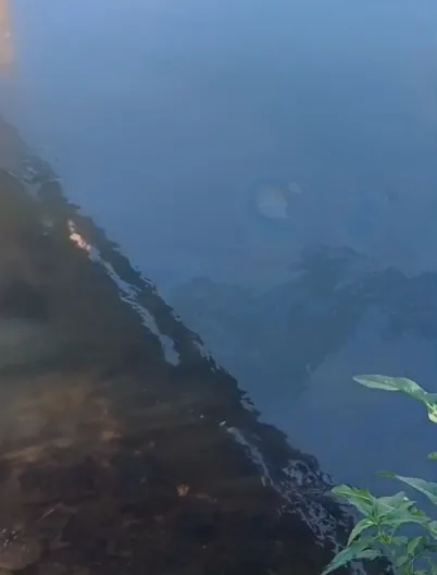 Oficina é identificada após descarte irregular de óleo que atingiu o Rio das Velhas, em Sabará