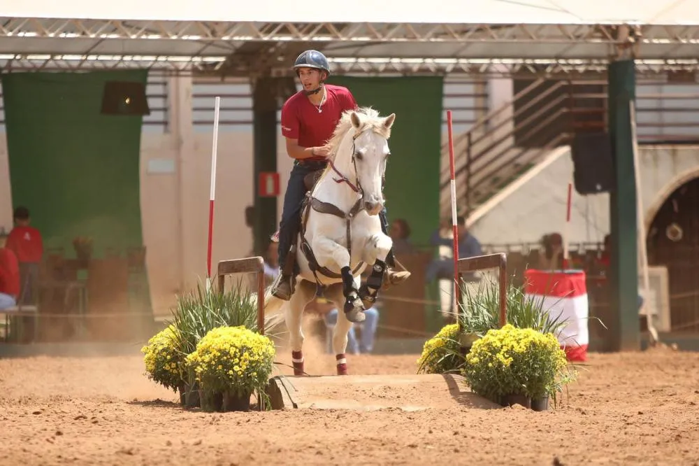 4º CAMPEONATO BRASILEIRO DE ESPORTES DO MANGALARGA MARCHADOR REÚNE ESPORTE, MÚSICA E DIVERSÃO EM BELO HORIZONTE