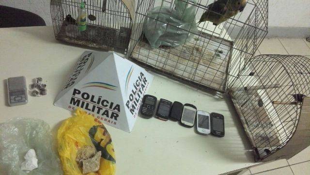 Quadrilha responsável por roubos e tráfico é presa 