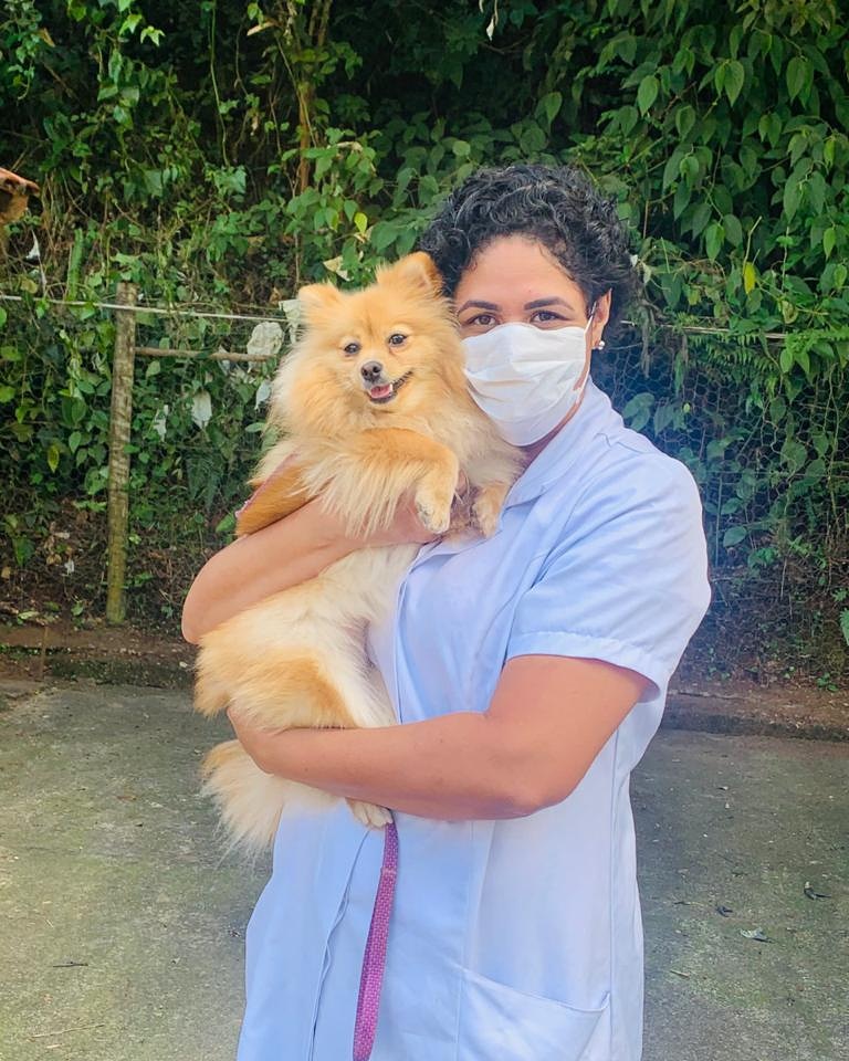 Clínica veterinária Cães e Gatos oferece preços populares e qualidade no atendimento 