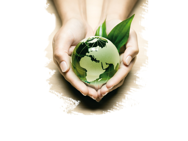 A palavra da vez é: sustentabilidade